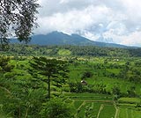 ランプヤン寺院
