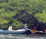 レンボンガン島