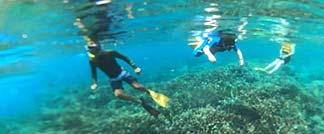レンボンガン島でのシュノーケリング
