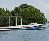 レンボンガン島の海