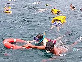 ペニダ島（ヌサペニダ）の海でシュノーケリング