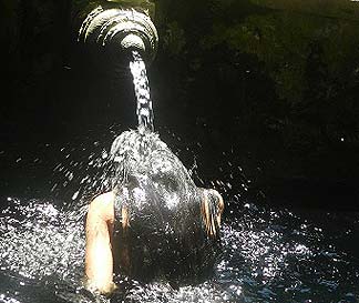 ティルタウンプル寺院での沐浴（ムルカット）