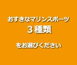 お好きなマリンスポーツ3種類をお選びください