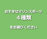 お好きなマリンスポーツ4種類をお選びください