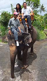 バリズーでのエレファントライド