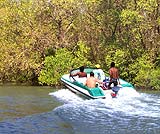 ジャングルツアー