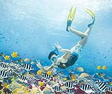 シュノーケリングも海がきれいだから楽しいですよ～