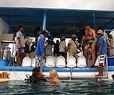 沖に浮かぶポントゥーン。ここでマリンウォークをします