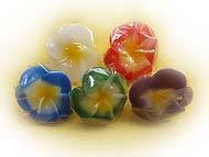 水に浮くジュプンの花の形をしたフローティングキャンドルです。