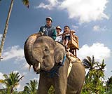 �G���t�@���g�T�t�@��