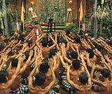 �P�`���_���X