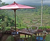 パワースポットツアーDでご案内するマハギリで、ライステラスを眺めながらランチをどうぞ・・・