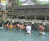 パワースポットツアーでご案内するティルタエンプルで、今も沐浴するバリの人たちです