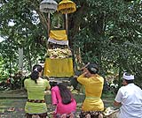 ティルタウンプル寺院は、今もバリの人たちにとっては大切なお寺です