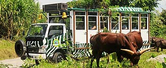 バリサファリパークで沢山の動物とのふれあいをお楽しみください