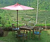 ライステラスを眺めながらランチをどうぞ・・・