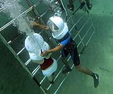 インストラクターと一緒に