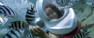 シーウォーカーの１場面