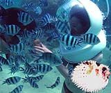 シーウォーカーの１場面