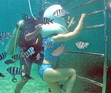 海の中に降りて行きます