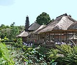 タマンアユン寺院の中掘りに、沢山の蓮の花が咲いていました