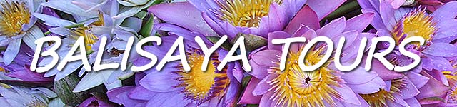 バリサヤツアー