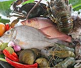 ジンバランはお魚の産地です