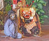 バロンダンス鑑賞付きツアーでご案内するバロンダンス～バロンとお猿