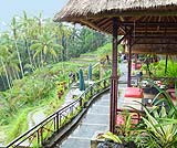 ライステラスを見ながらお茶をどうぞ・・・