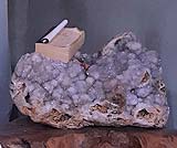 バリアン・タロット占い