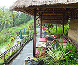 テラスパディカフェ