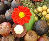 バグースジャティのファームで育った果物の数々