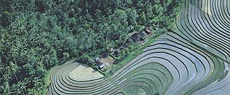 空から見たバグースジャティの敷地